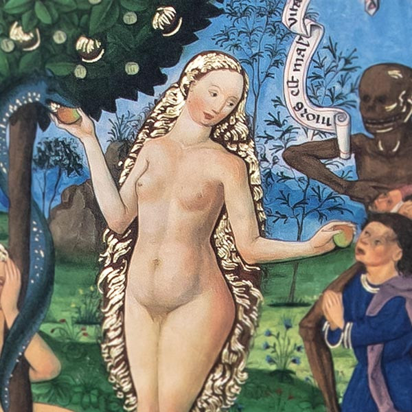 Le Paradis Le Paradis