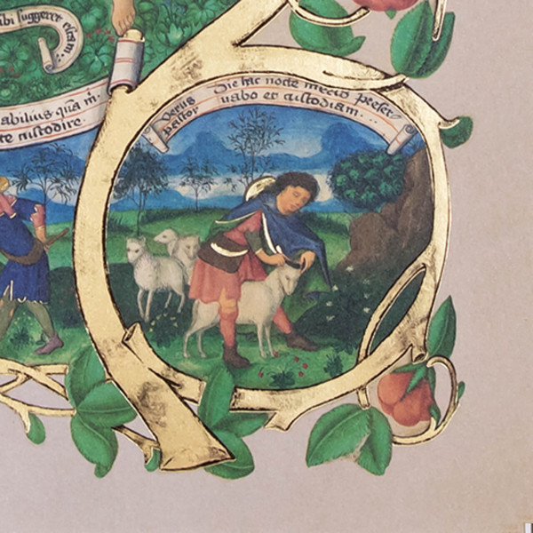 Le Paradis Le Paradis