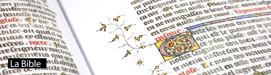 Le Bible historiale, le manuscrit